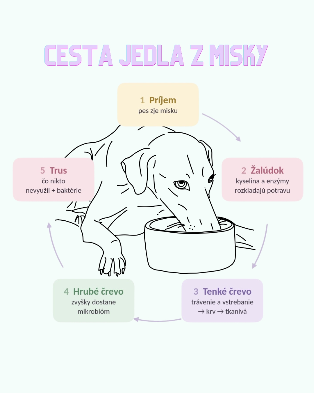 Stráviteľnosť krmiva