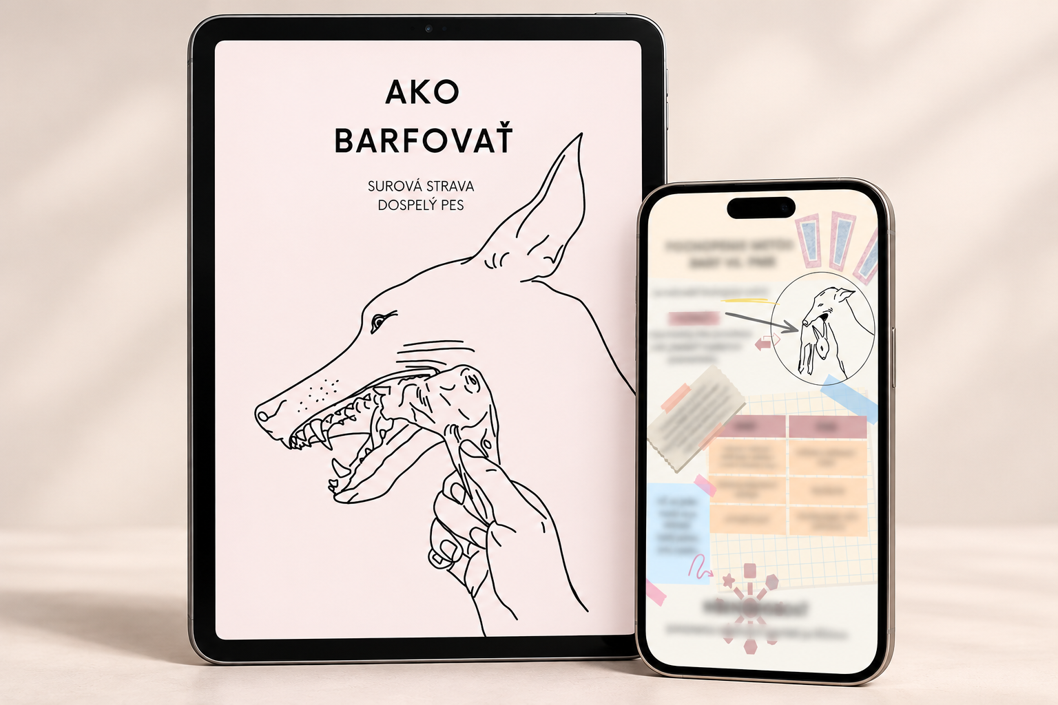 Ako barfovať – kompletný sprievodca pre dospelého psa